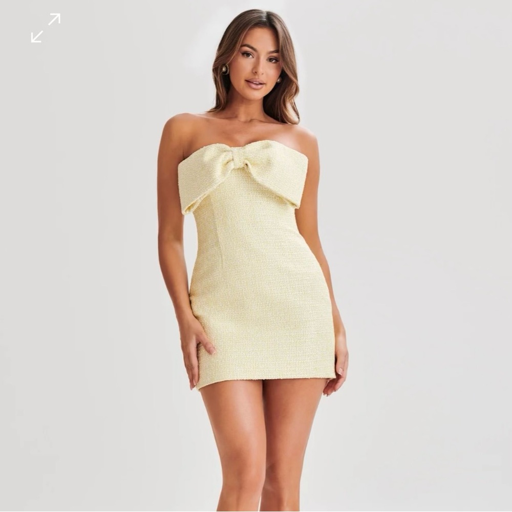 NWT Meshki Strapless Mini Dress